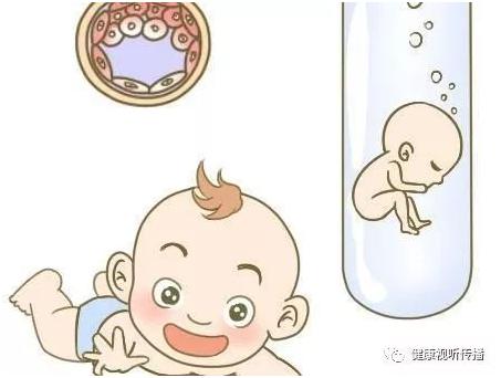专业同志代怀服务收费标准